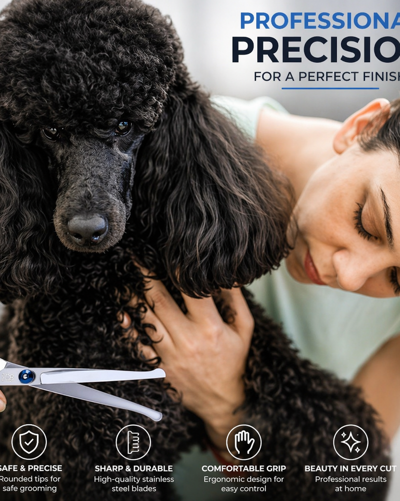 Professional Grooming — Without Expensive Salon Visits